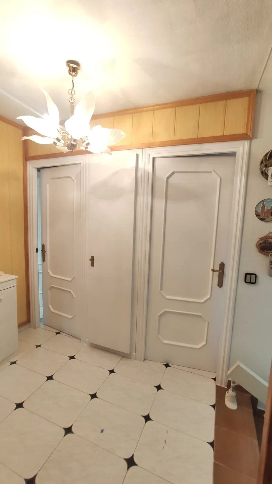 lacado puertas salon blanco en Aravaca